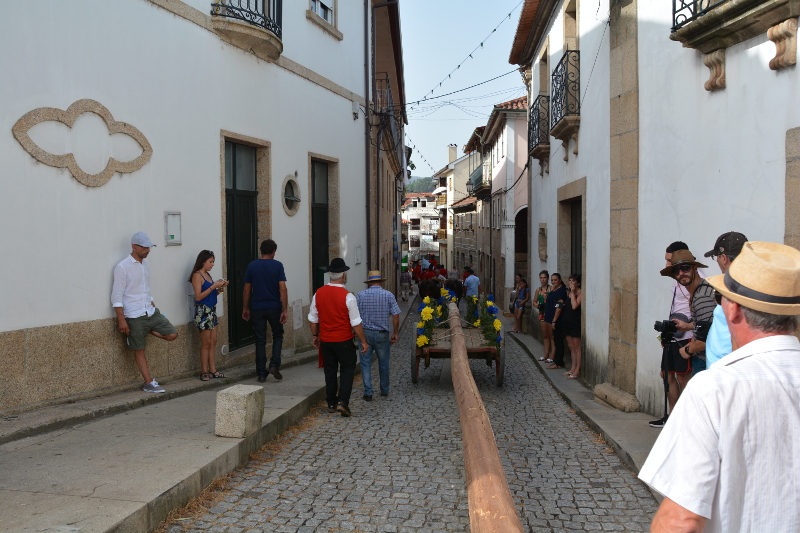 Erguida do Pau da Bandeira