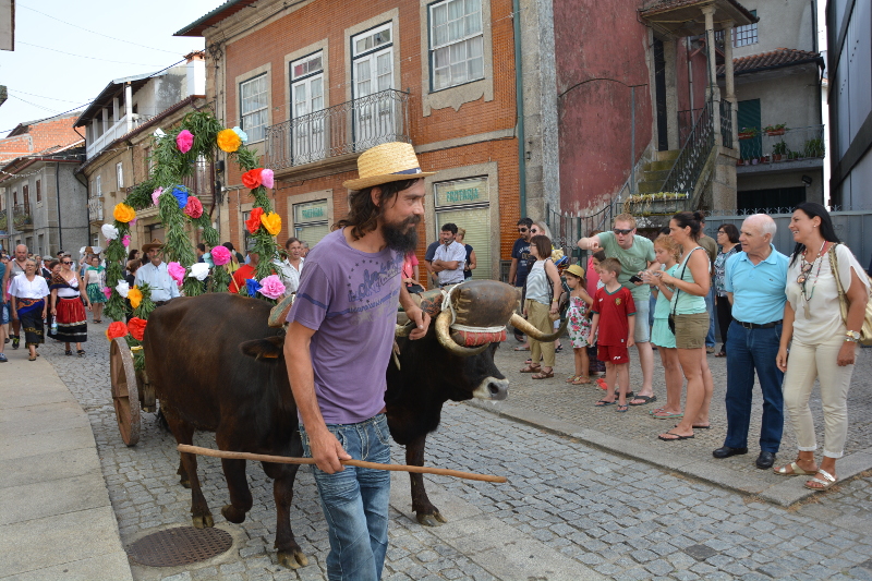 Erguida do Pau da Bandeira