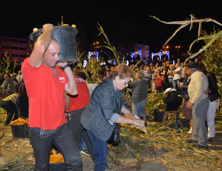 Desfolhada Tradicional