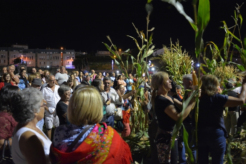 Desfolhada Tradicional