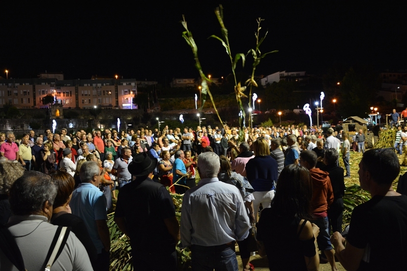 Desfolhada Tradicional