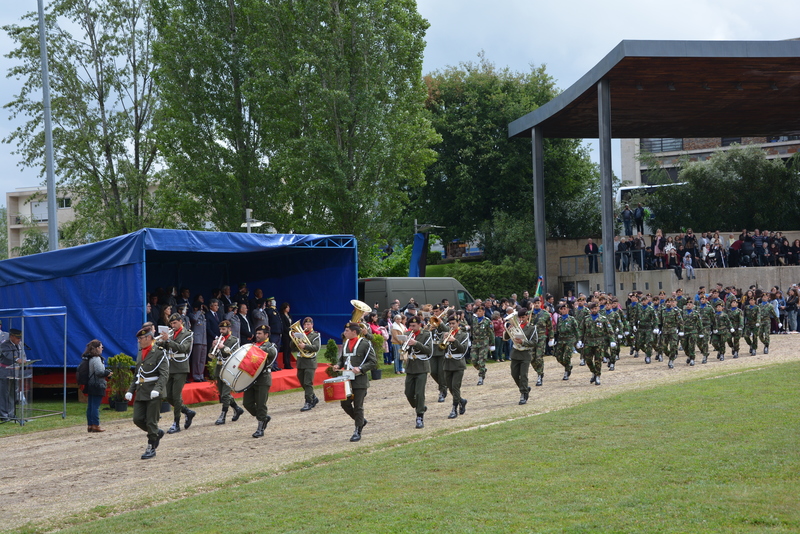 Medalha de D. Afonso Henriques