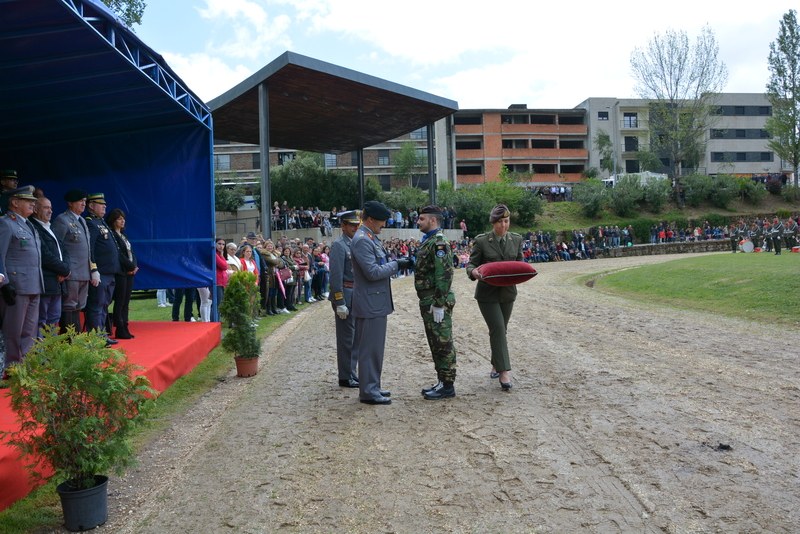 Medalha de D. Afonso Henriques