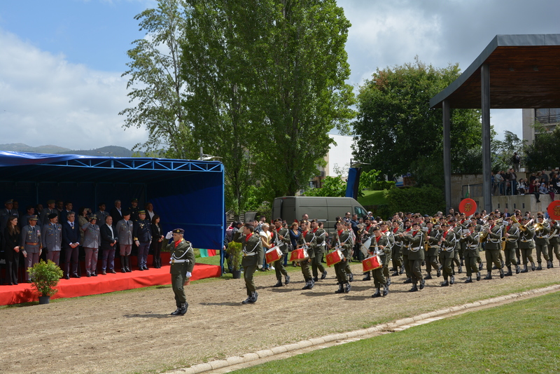 Medalha de D. Afonso Henriques