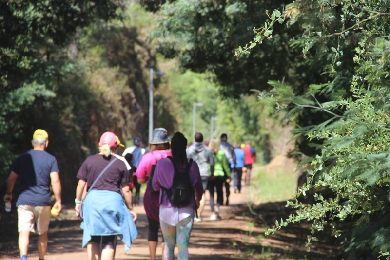 Dia Mundial do Ambiente celebrado com caminhada na Ecopista da Linha do Tâmega