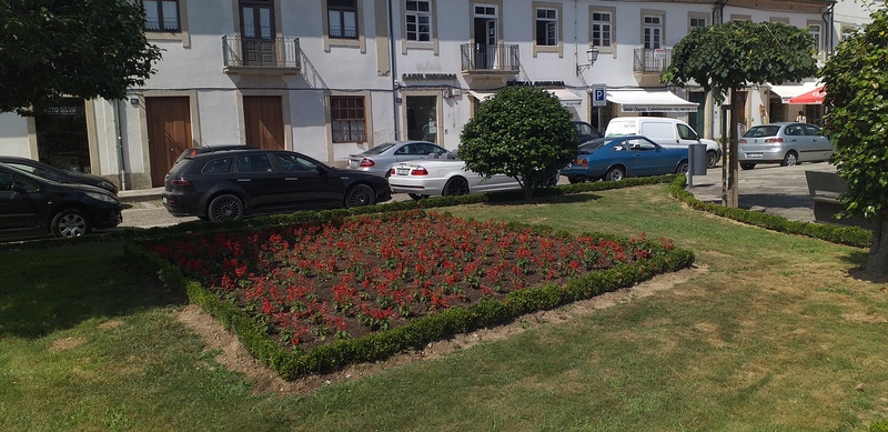 Novas plantas