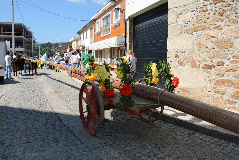 Leia mais sobre Arco de Baúlhe ergueu «Pau da Bandeira»