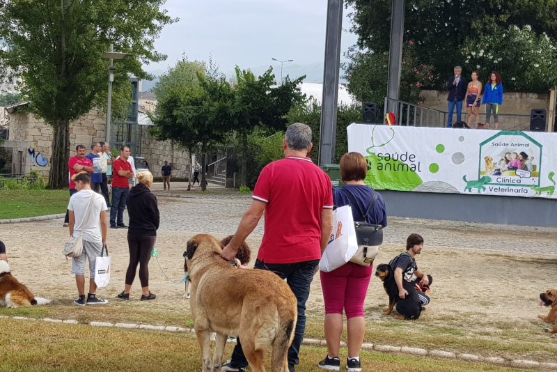 Leia mais sobre Cãominhada pelo «Não ao Abandono dos Animais»