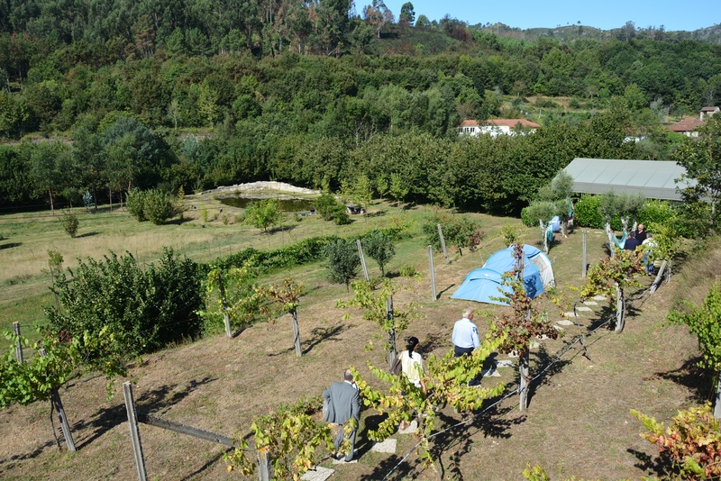 Quinta da Cumieira