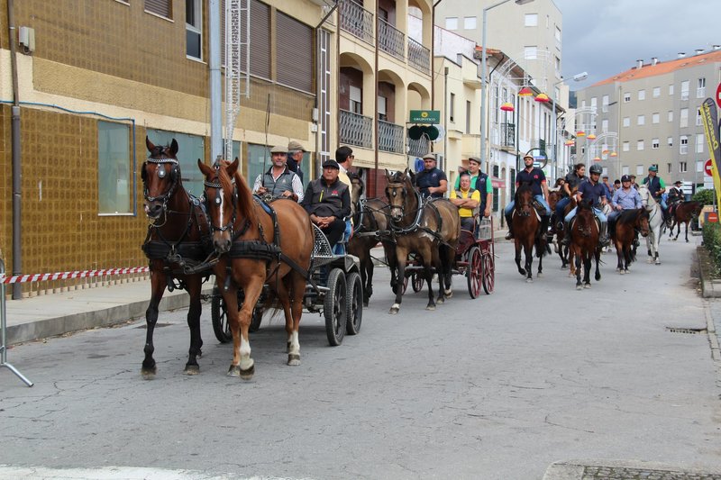 Passeio Equestre