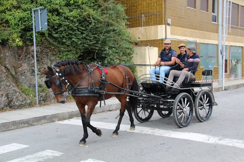 Passeio Equestre