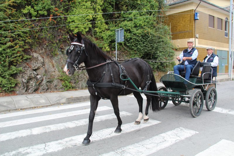 Passeio Equestre