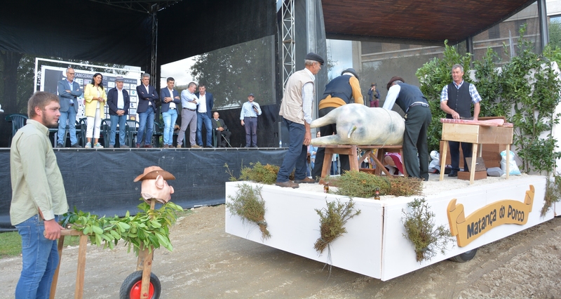 Festas de S. Miguel 2019 - Cortejo Etnográfico