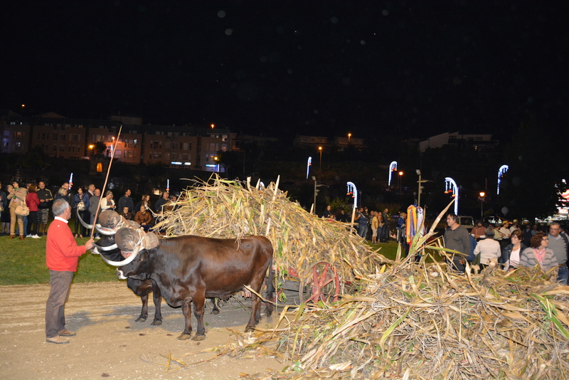 Desfolhada Tradicional e Banda da Malta