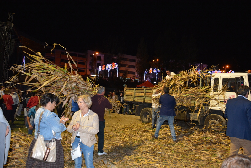 Desfolhada Tradicional e Banda da Malta