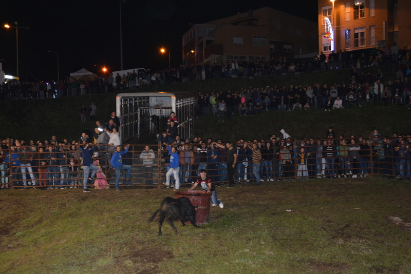 Festas de S. Miguel 2019 - Garraiada