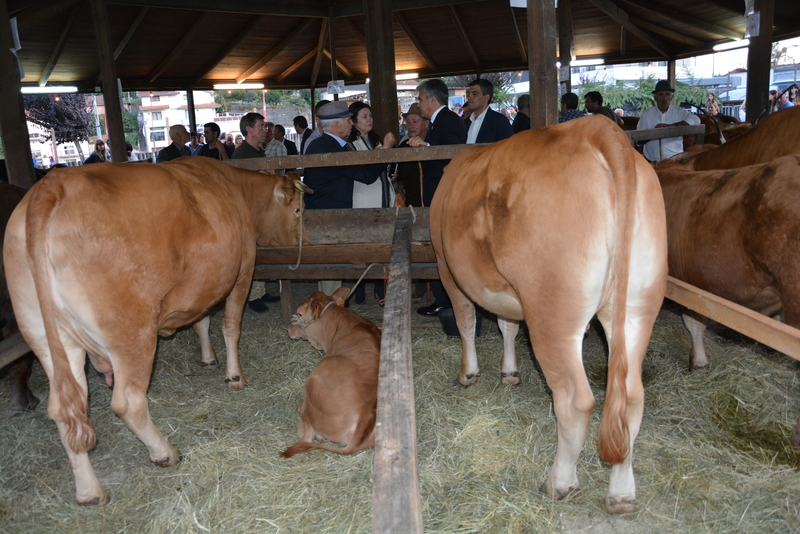 Inauguração AGROBASTO