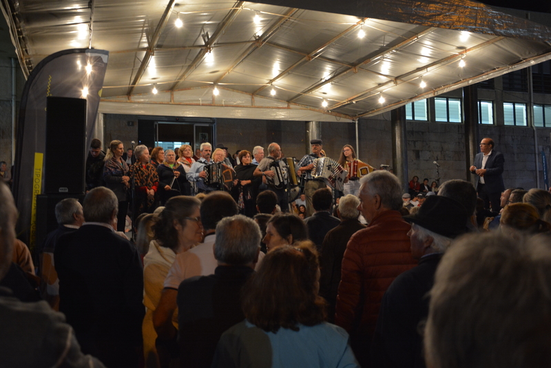 Festas de S. Miguel 2019 - Ronda das Concertinas