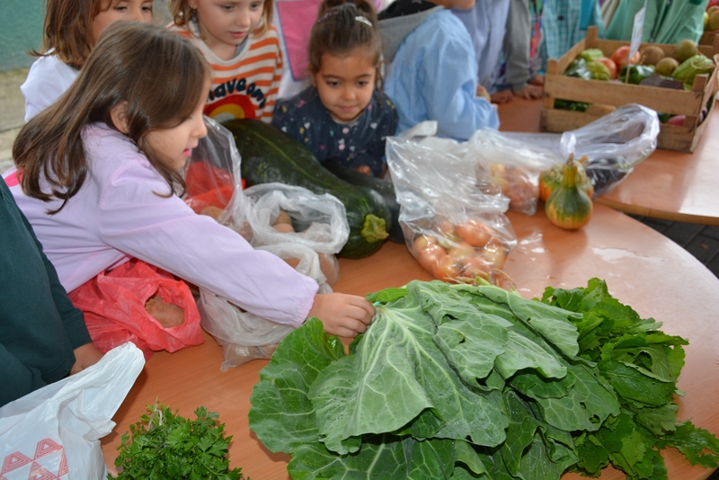 Feira de Outono