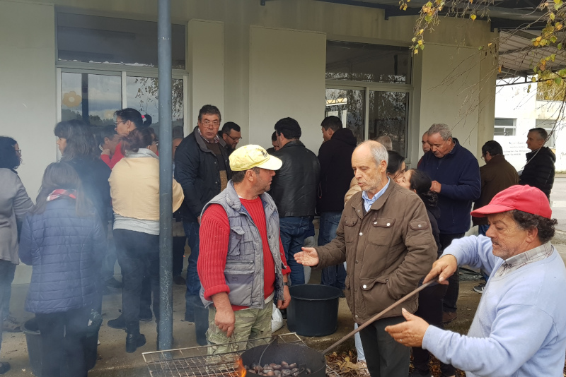 Leia mais sobre Magusto convívio na Faia