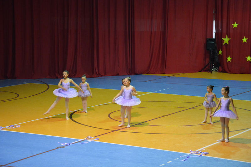 «Natal Solidário» no Pavilhão Desportivo de Refojos