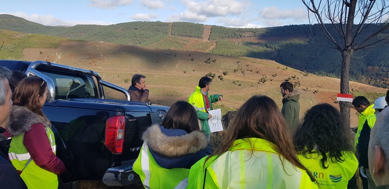 Visita espaços florestais
