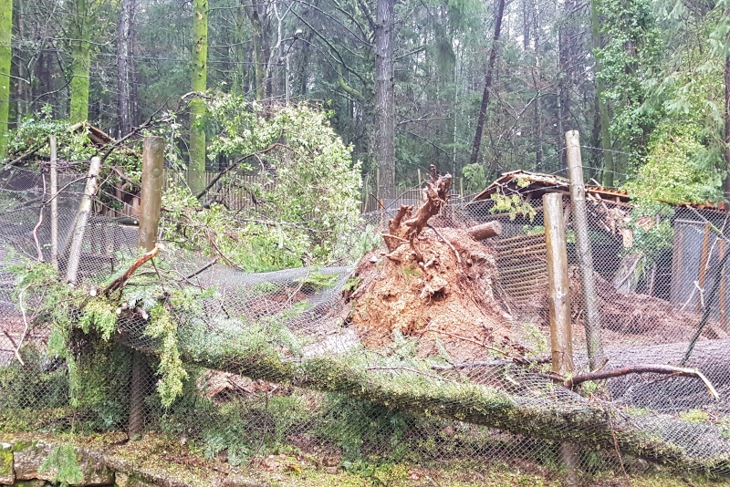 Leia mais sobre Mau tempo provocou estragos em Cabeceiras de Basto