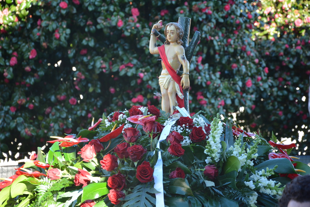 Festa das Papas