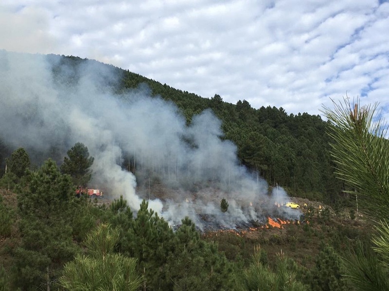 Fogo controlado