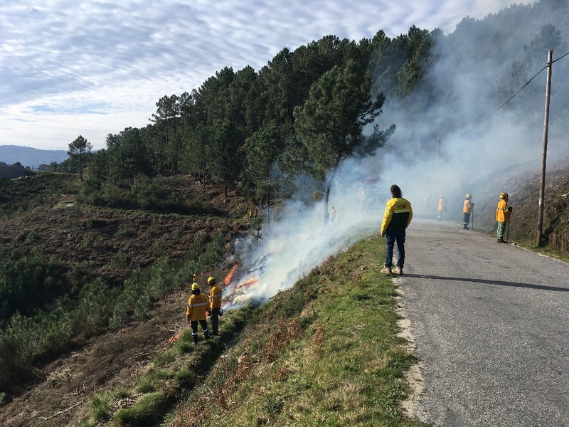 Fogo controlado