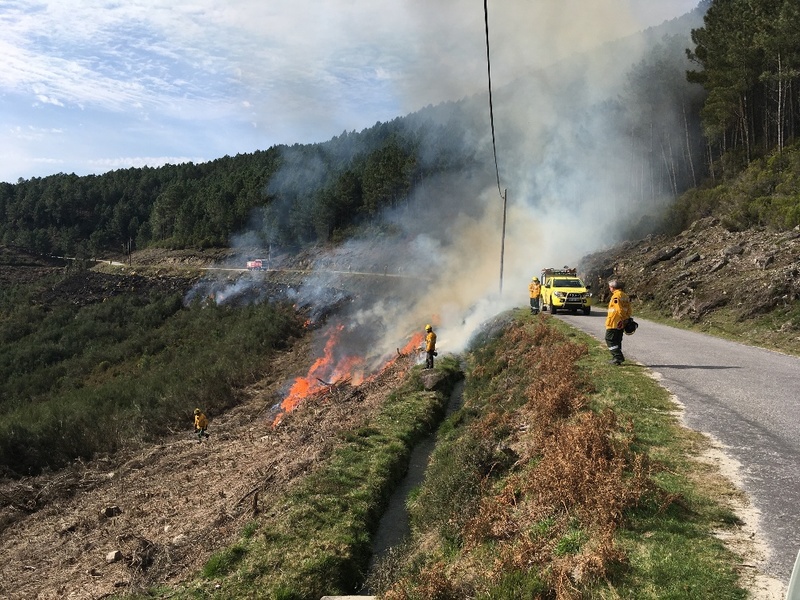 Fogo controlado