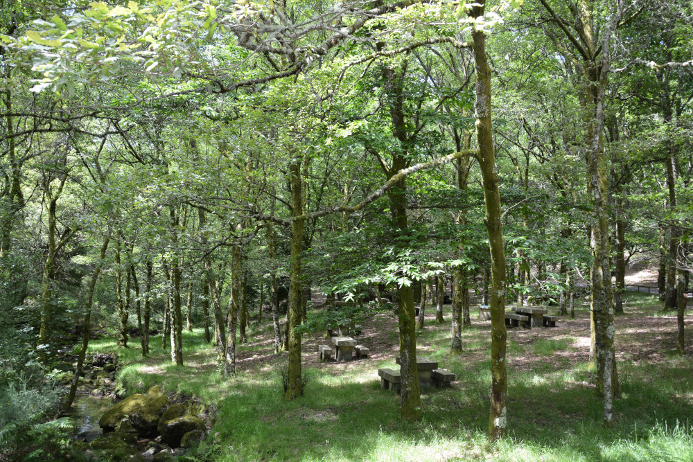 Área de Lazer de Víbora