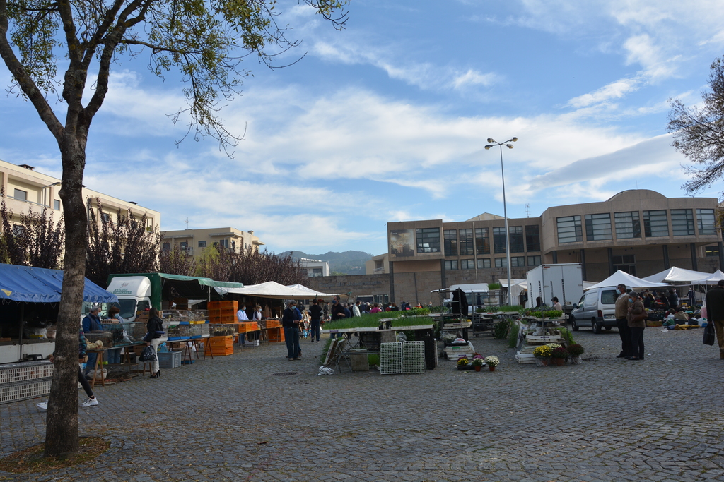 Feira Semanal
