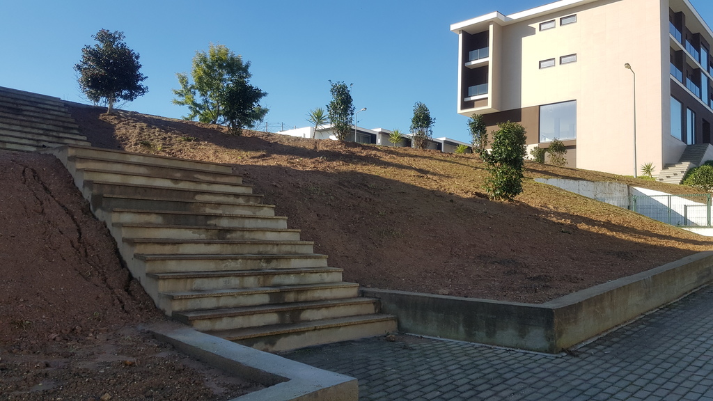 Plantação de árvores