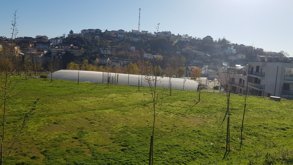 Plantação de árvores