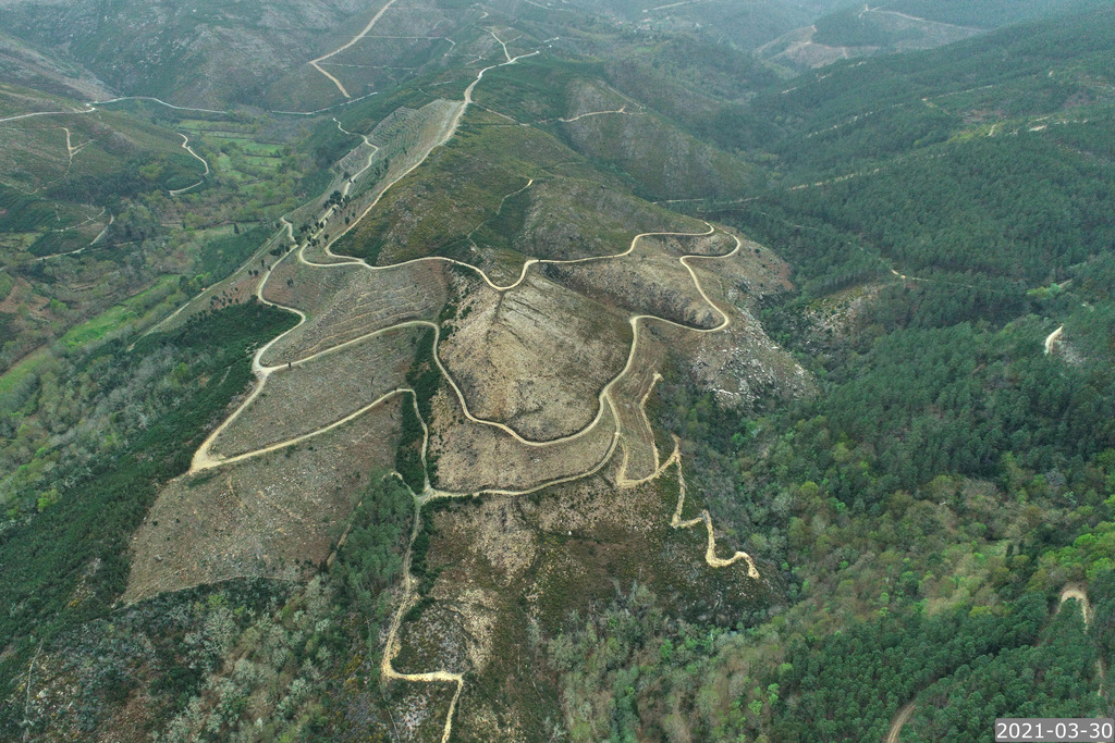 Espaços florestais recuperados