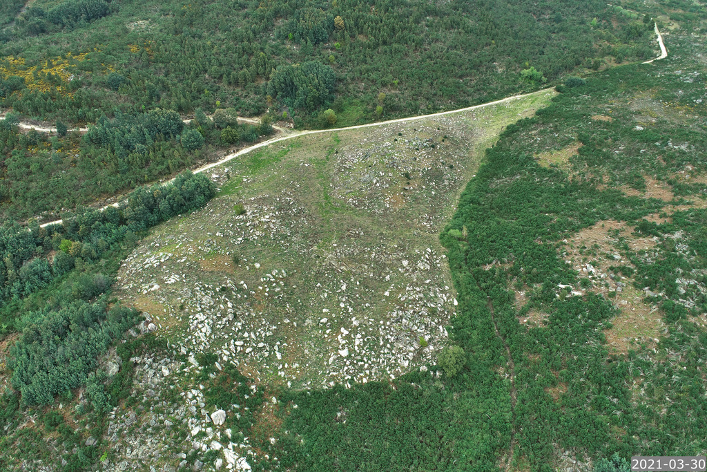 Espaços florestais recuperados