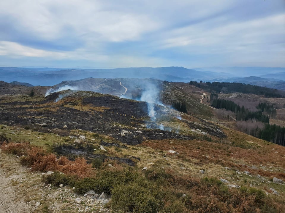 Leia mais sobre Fogo controlado no perímetro florestal de Cabeceiras de Basto