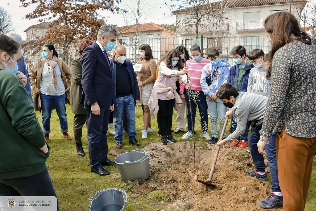 Árvore da Esperança