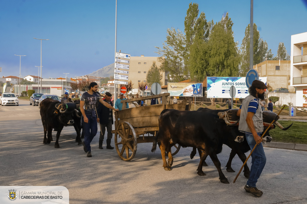 Lavoura tradicional