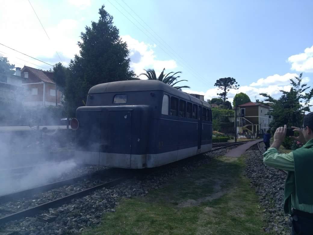 Museu das Terras de Basto assinala Dia Internacional com «viagem» e workshop