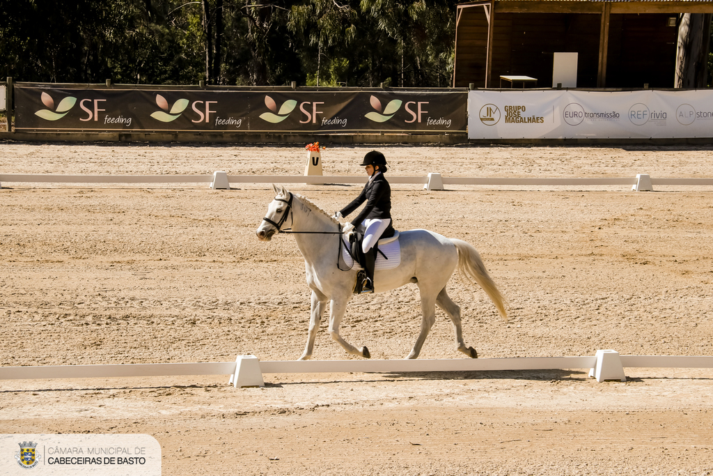 Feira do Cavalo