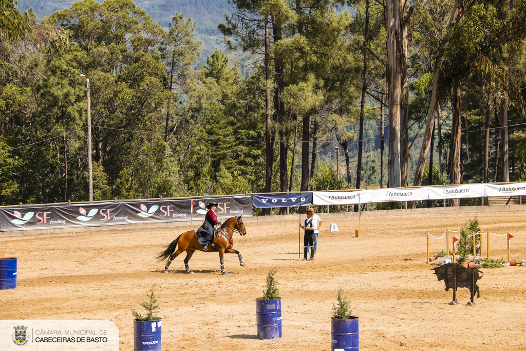 Feira do Cavalo