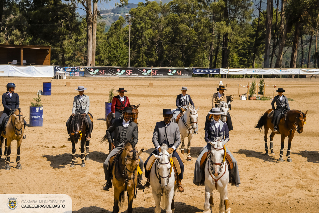 Leia mais sobre Feira do Cavalo de Cabeceiras de Basto