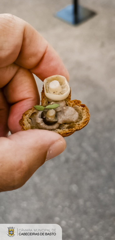 Feira do Vinho Verde e dos Produtos Locais