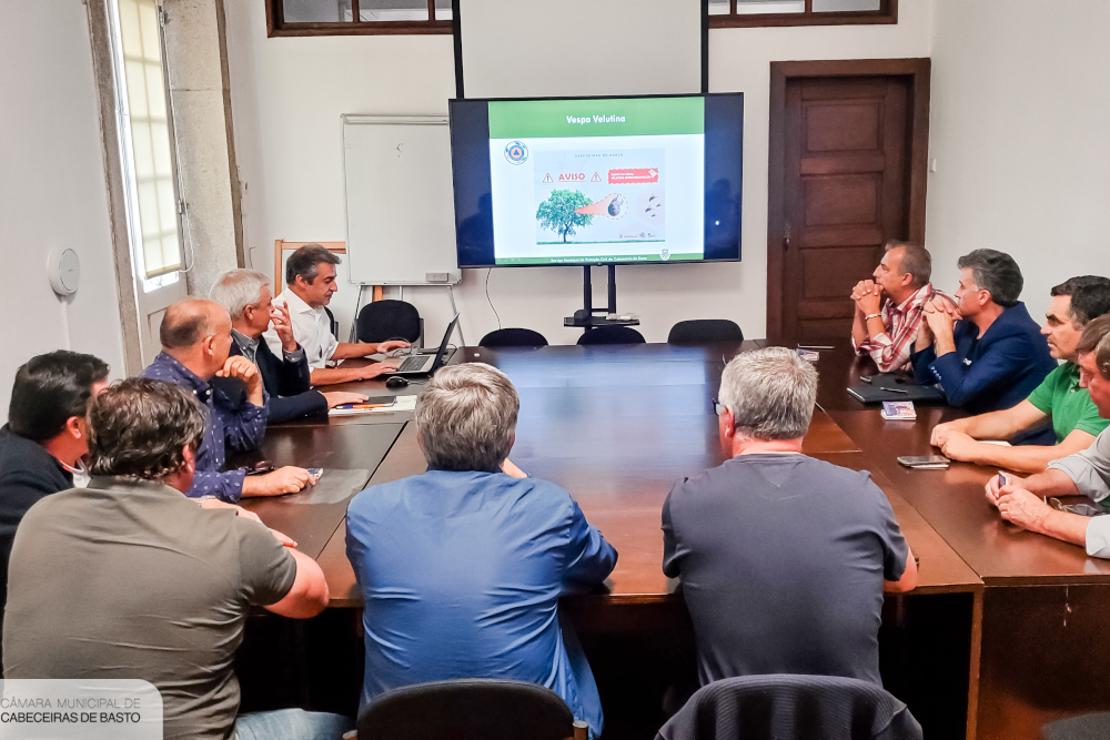 Leia mais sobre Câmara Municipal cria plataforma eletrónica para agilizar combate à vespa