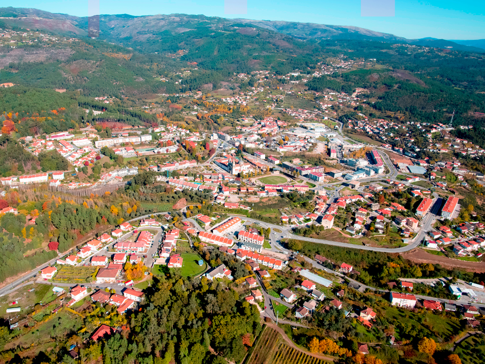 Leia mais sobre Concurso público para Central de Valorização de Biomassa Florestal Residual