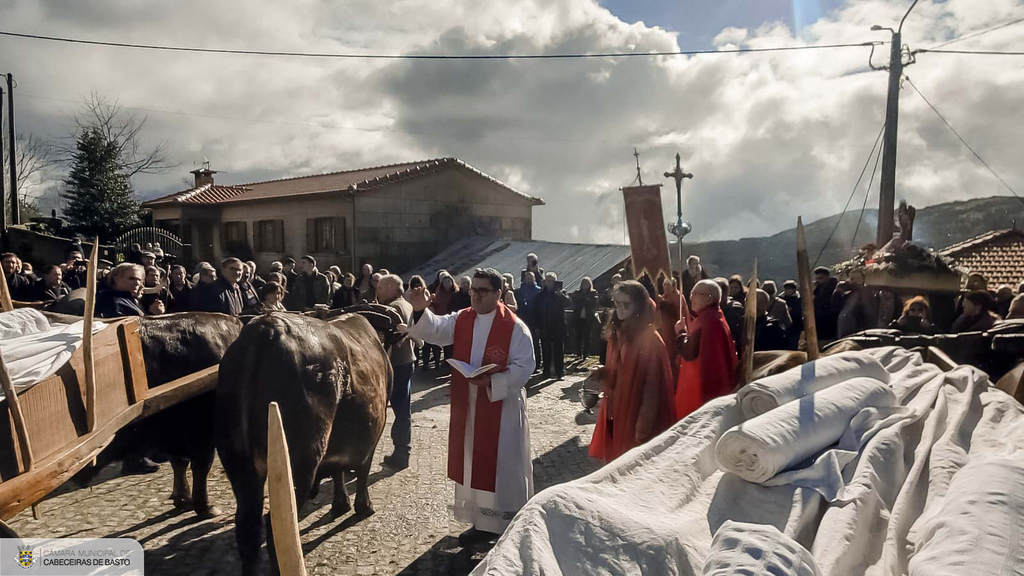 Festa das Papas