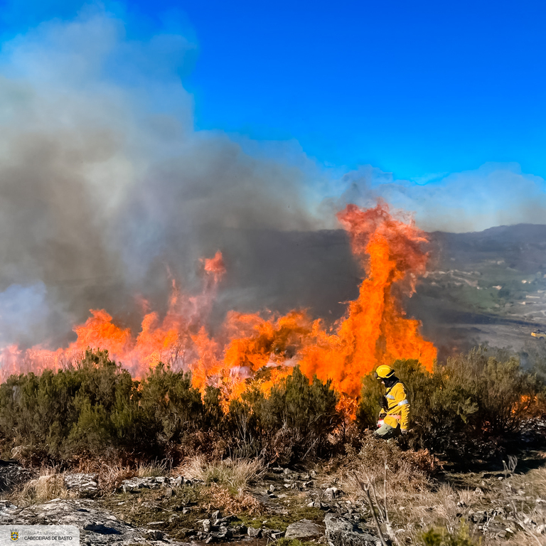 Fogo controlado