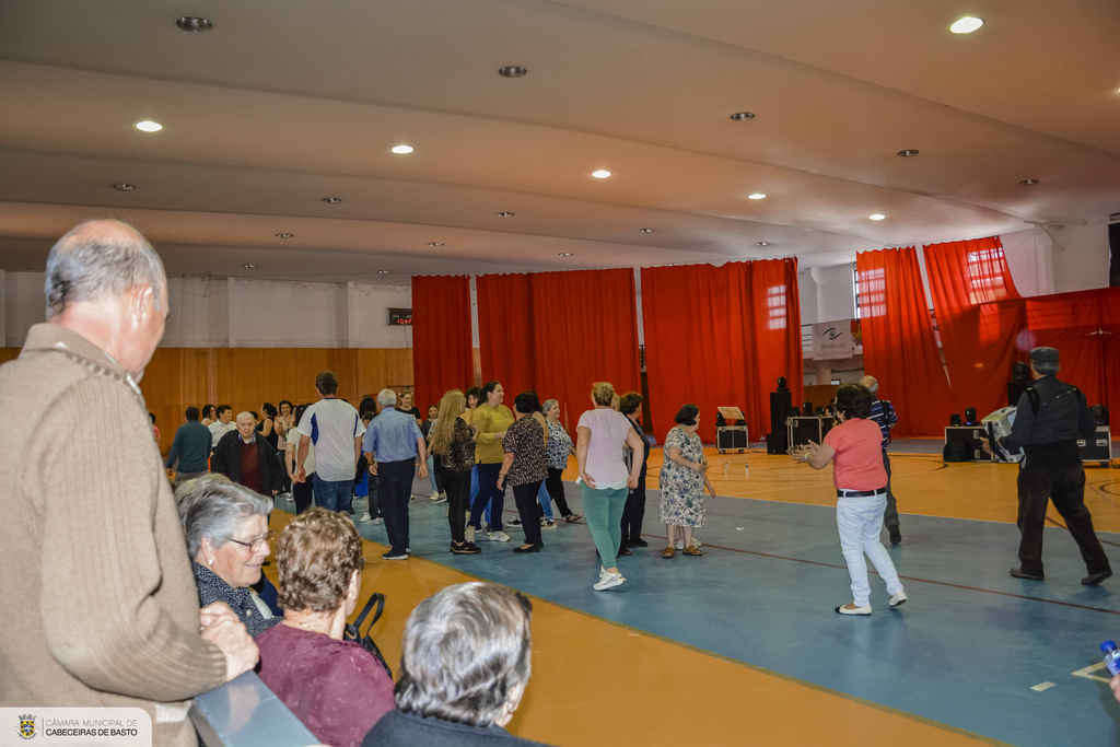 Dia Mundial da Dança